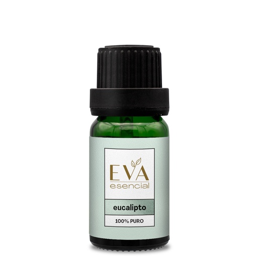 Eucalipto Aceite Eva Esencial