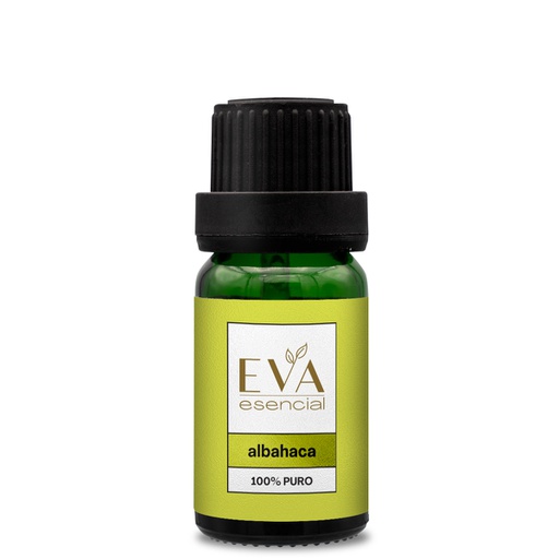 Albahaca Aceite Eva Esencial